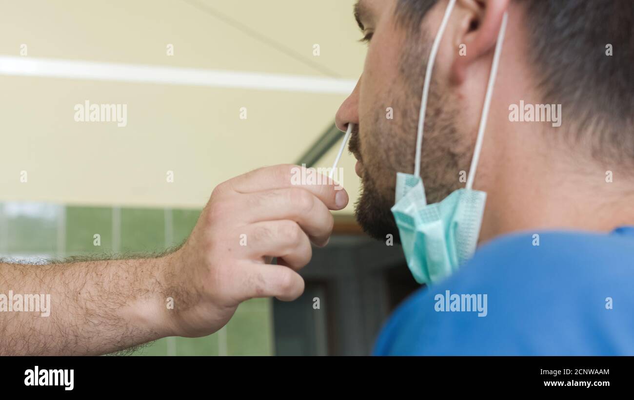 Man Testing Man testing with swab for coronavirus in laboratory Stock Photo - Alamy