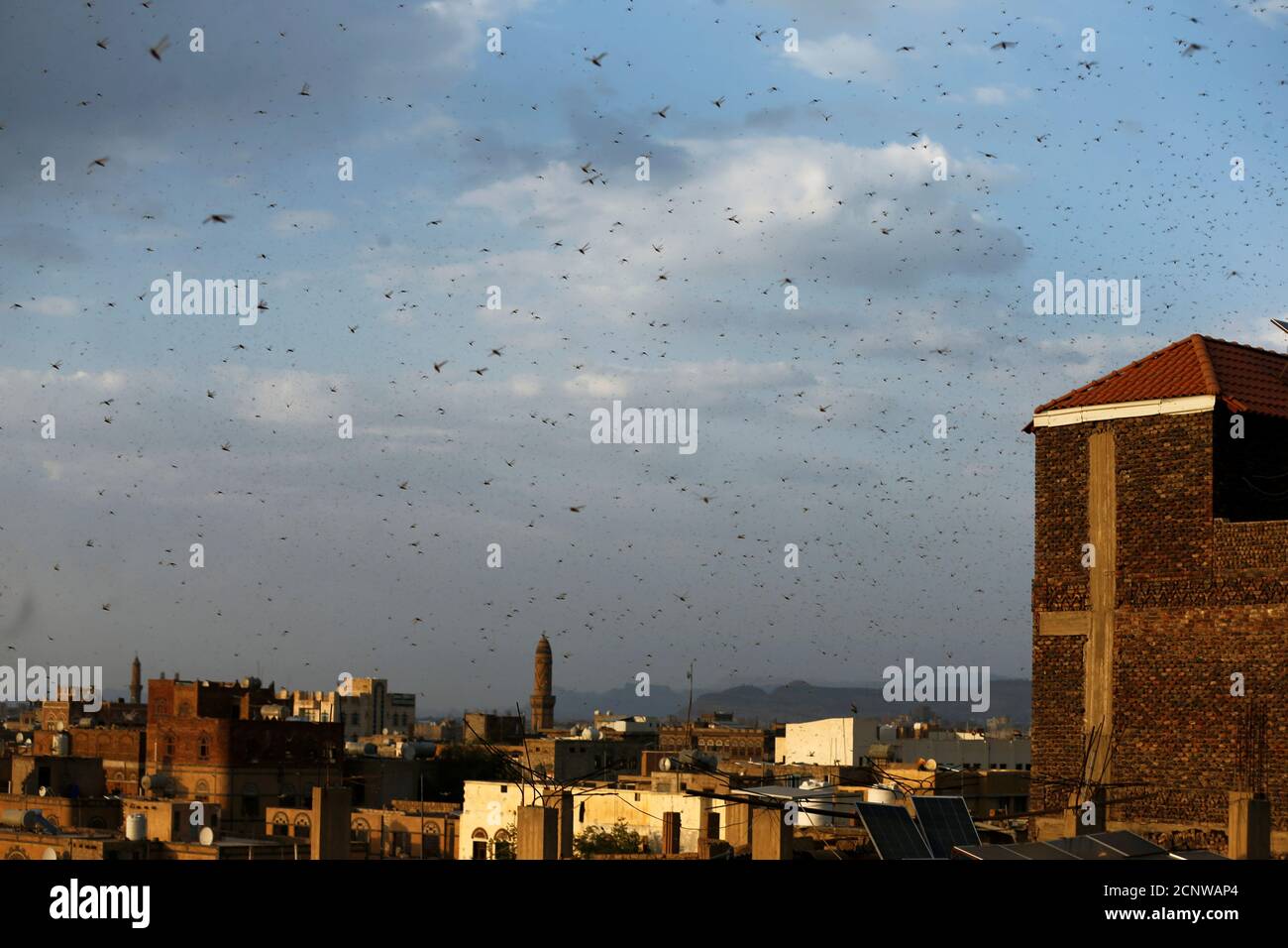 Accide High Resolution Stock Photography And Images Alamy