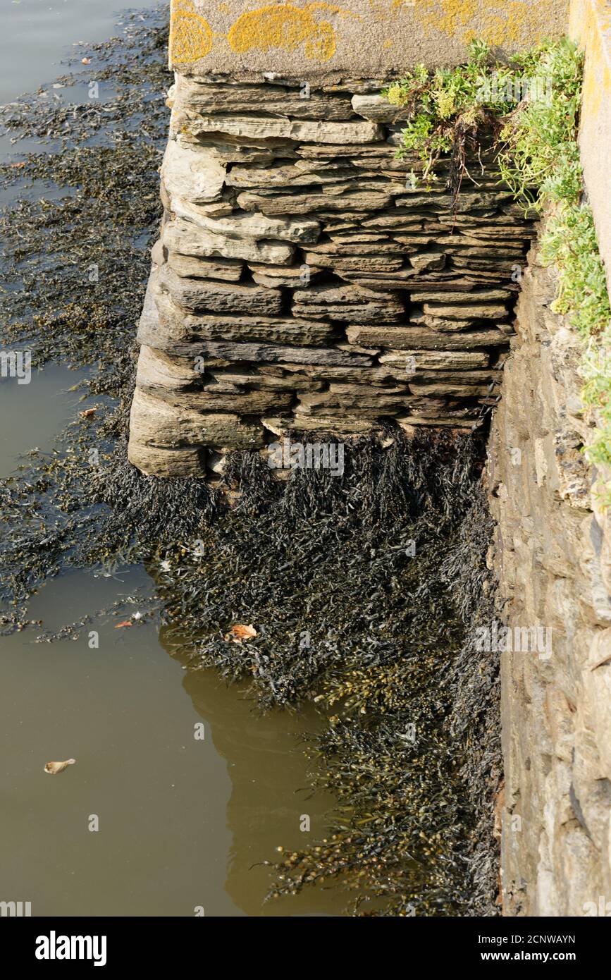 Devon in the West Country of the UK one of the largest and popular Tourist areas Stock Photo