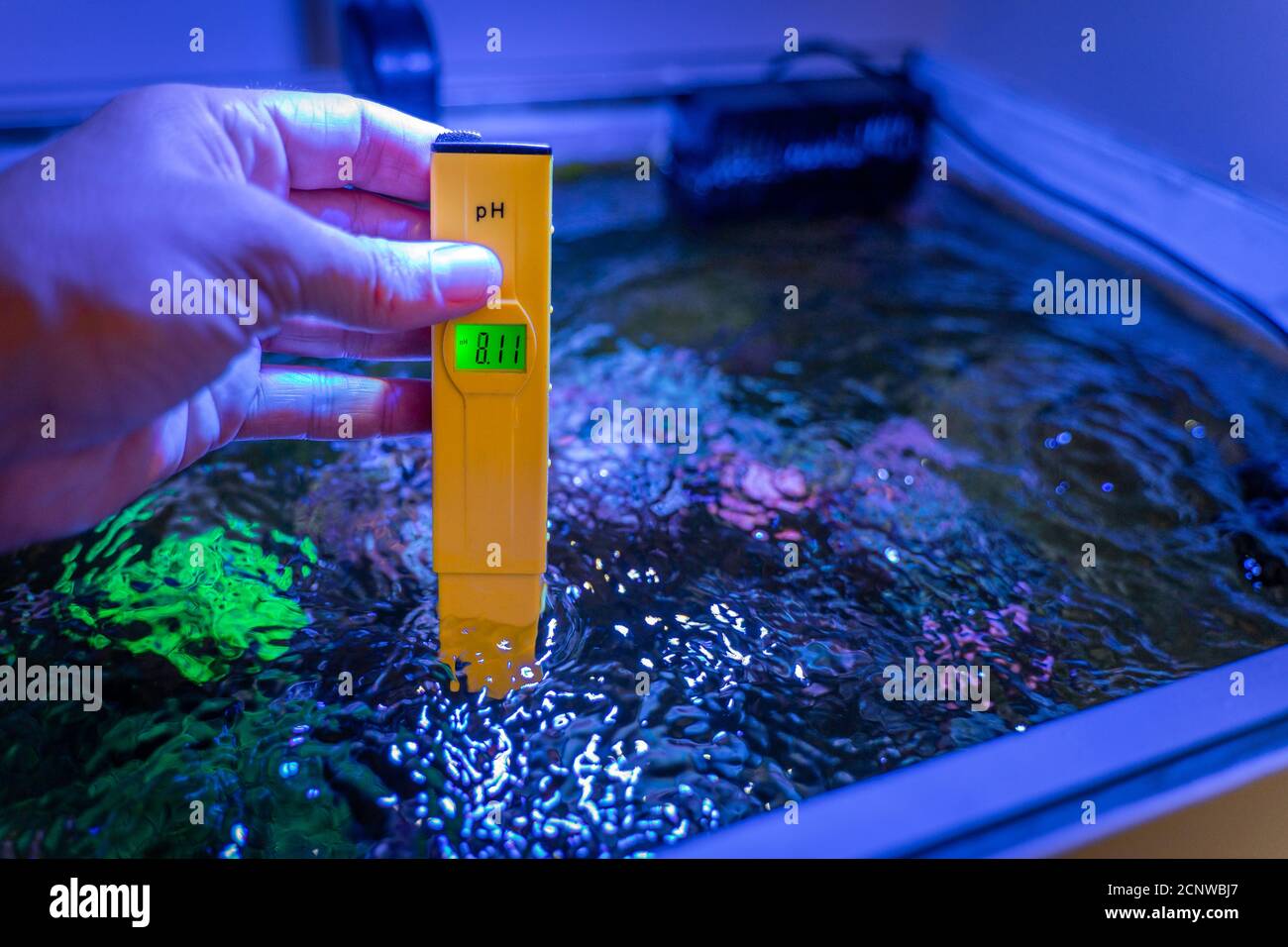 Ph meter aquarium hires stock photography and images Alamy