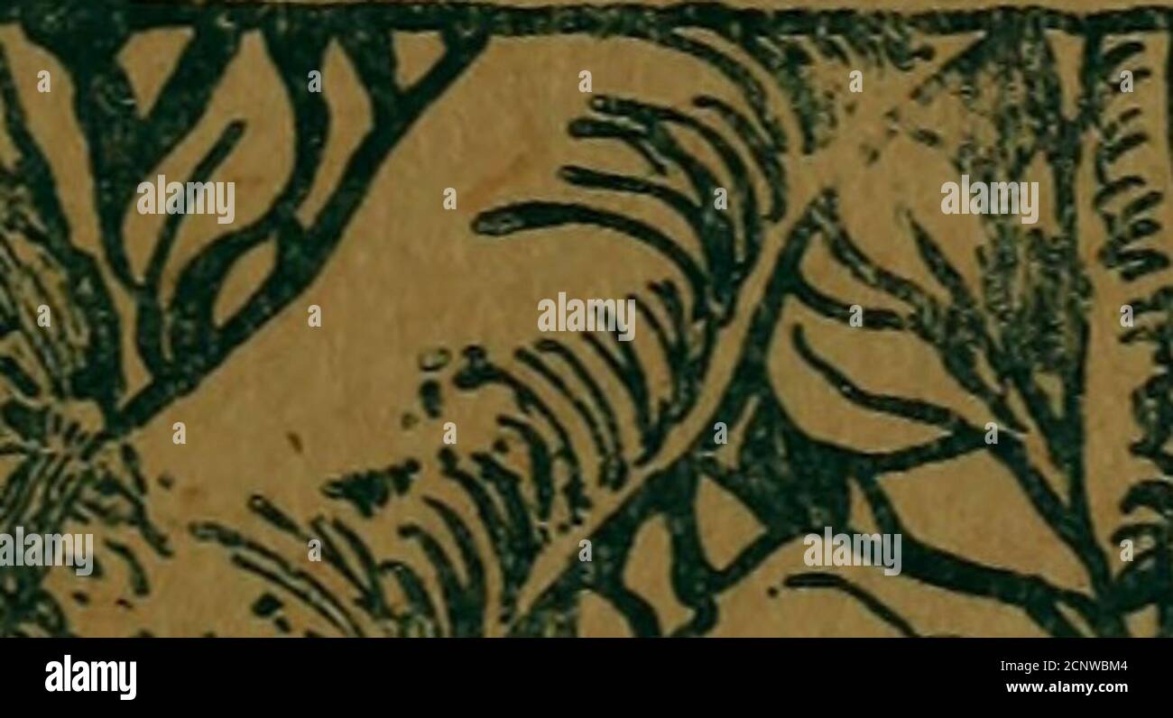 I 77 High Resolution Stock Photography And Images Page 11 Alamy I 77 High Resolution Stock Photography And Images Page 11 Alamy