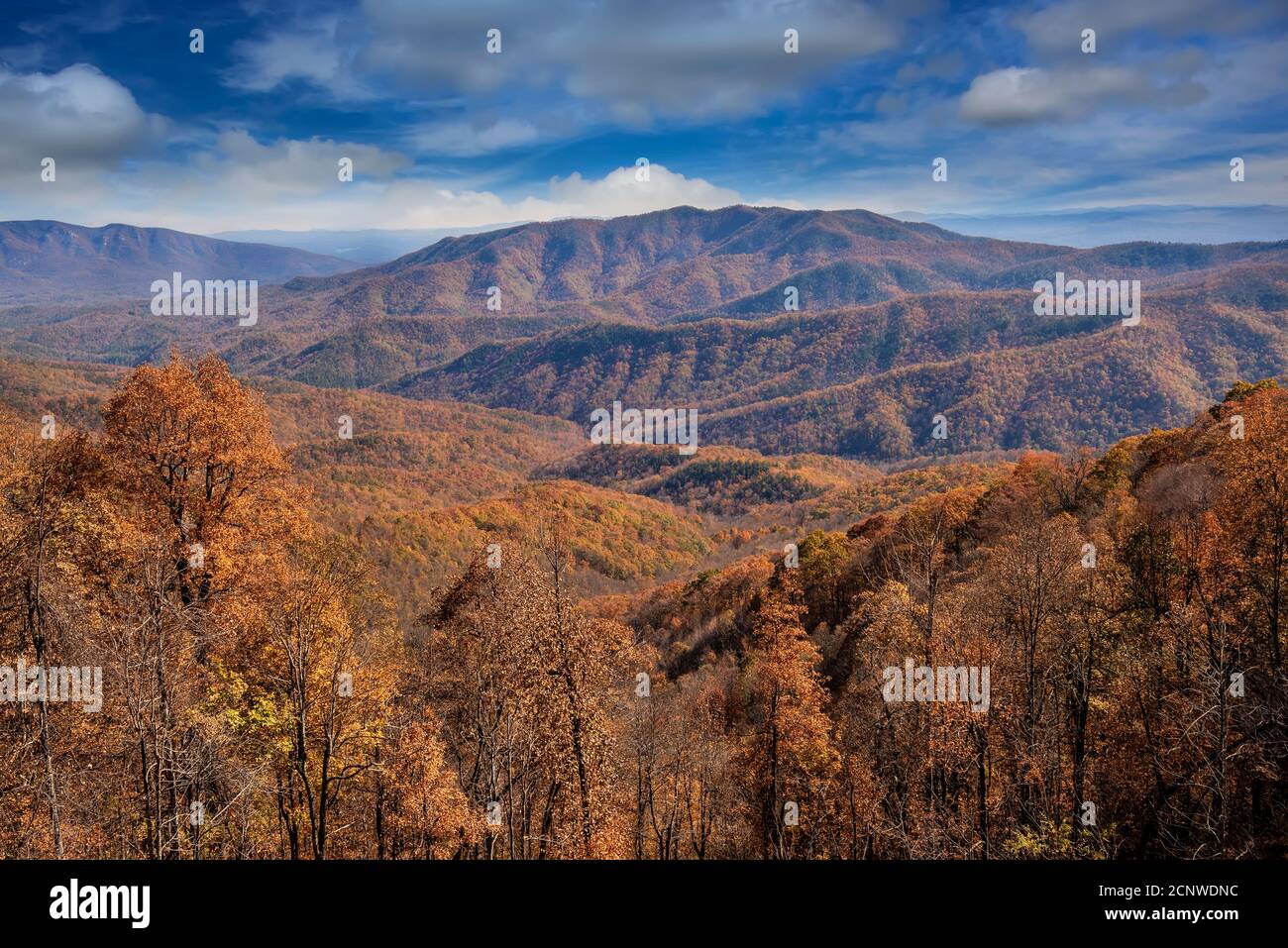 North Carolina mountain range in the colorful season of Autumn Stock Photo Alamy