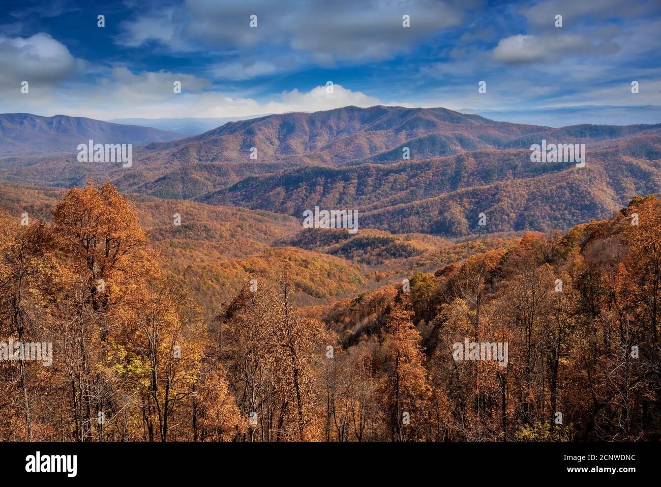 North Carolina mountain range in the colorful season of Autumn. Stock Photo