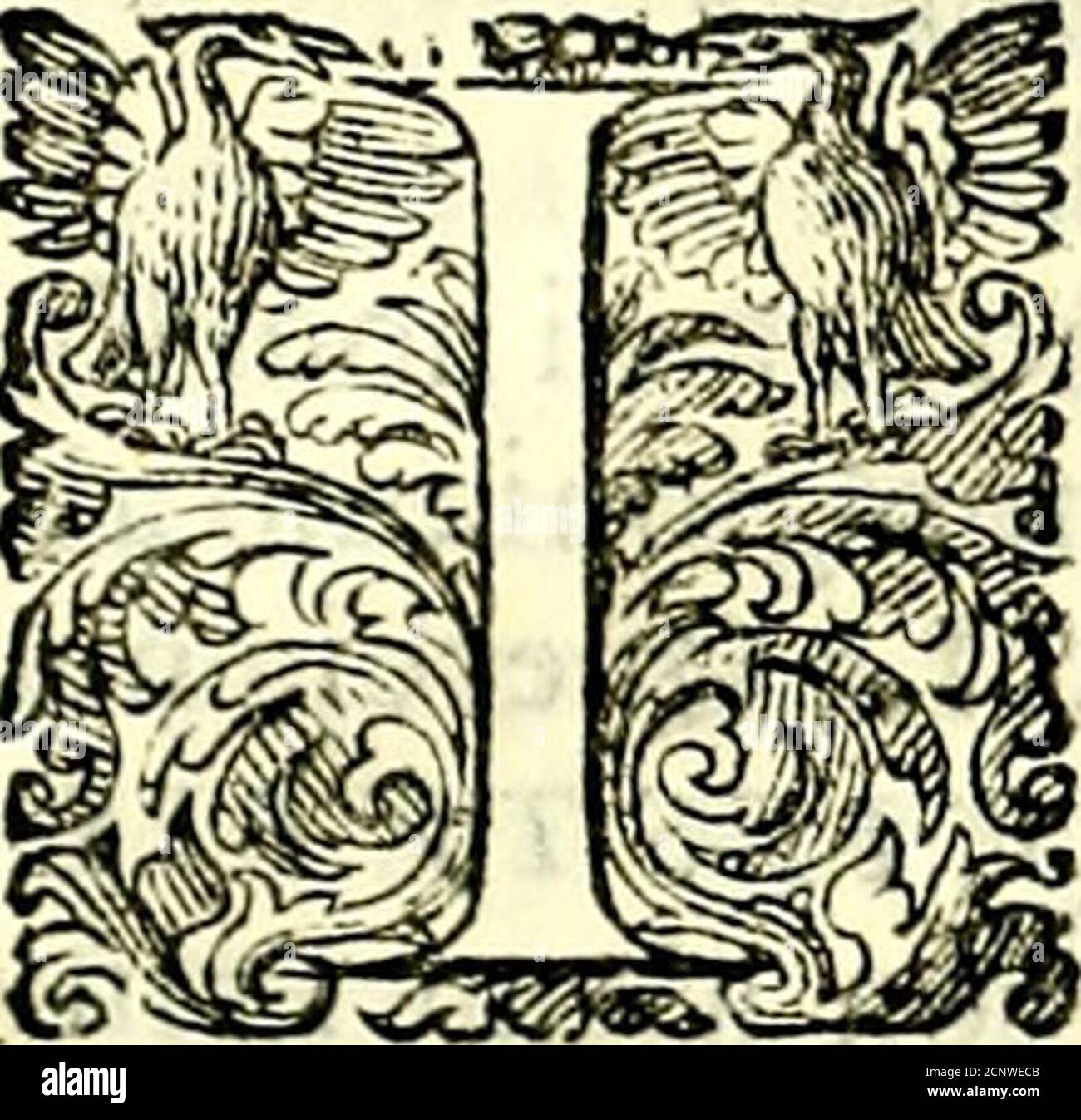 . Delle imprese trattato . erano contai fegno fpronati a cantar la fuaparte, cerne narra Plutarco . Et Horatio parlando della Primauera dice che fi deue ftar in allegrezza, K(unc decet aut viridi nitidum caput impedire Myrto «Et altroue chiamò femplice Mirto, vn tenue ConuitoSimplici Myrto nibil allabores Seduluscuro Morte,e Se Ma fignifica anco Morte,per che di Mirti era ornato il Sepo!-*poicro. cro ^ j Elpenore nel Monte Circello, come dice Teofrafto. £della Corona funebre di Mirto fa mentione Pindaro, tvQa MVKoQeif Kclpa, {JLvpvoif o$ àvjp. Et in Tebe, chi vincea ne Giochi Iolei, eran coron Stock Photo