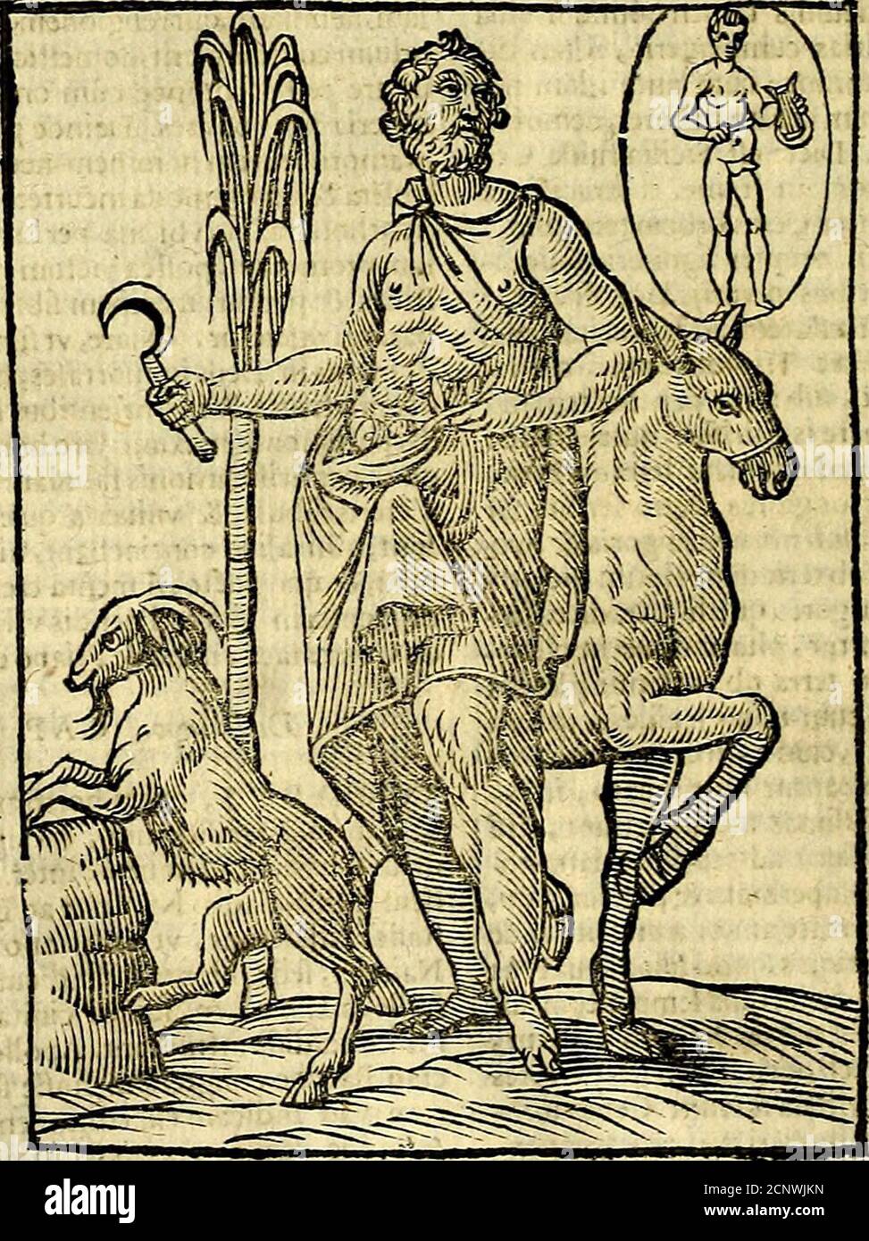 priapus hi-res stock photography and images - Page 7 - Alamy