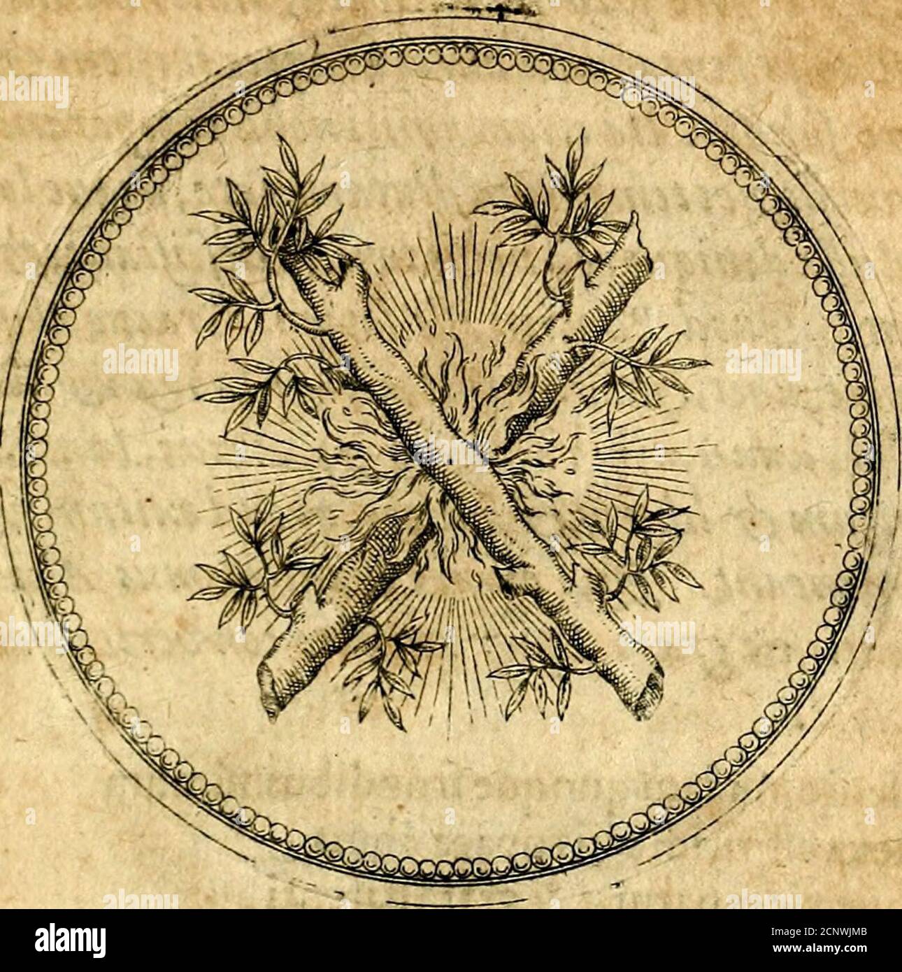 Dinus High Resolution Stock Photography And Images Alamy