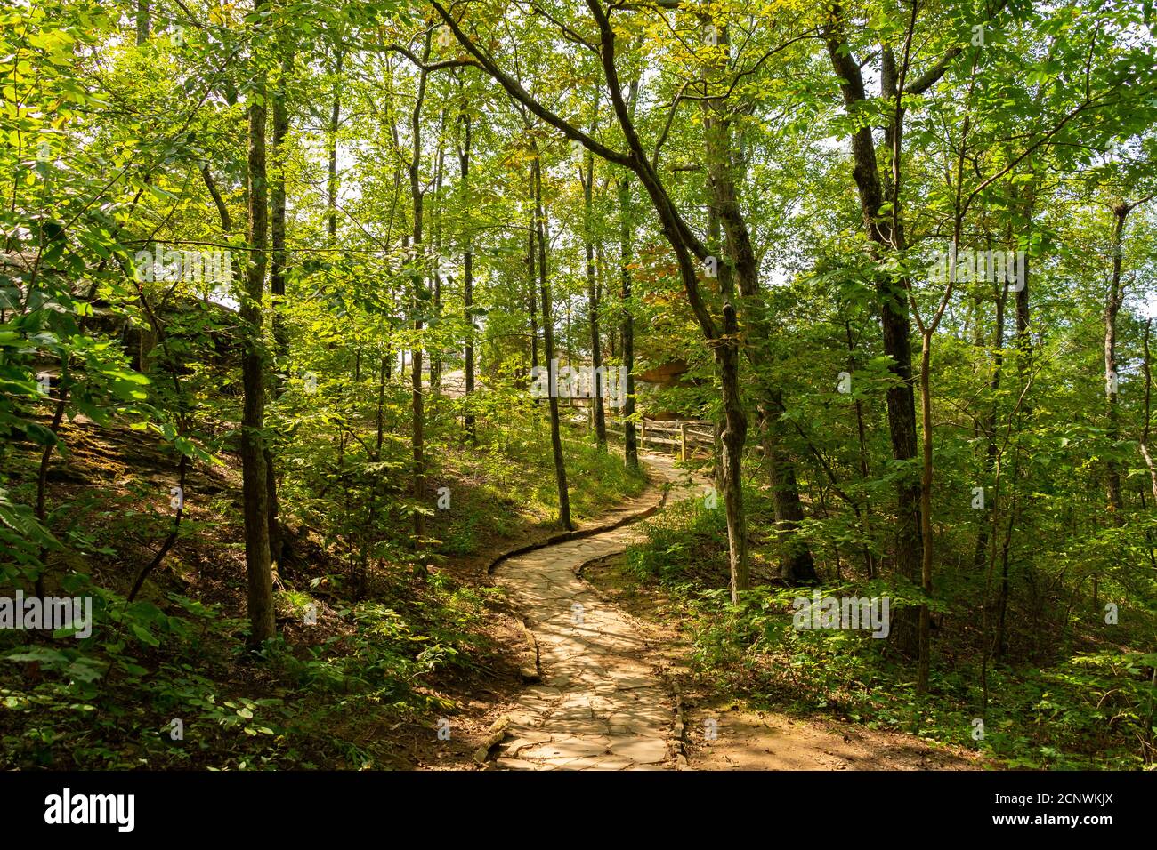 Shawnee National Forest High Resolution Stock Photography And Images Alamy