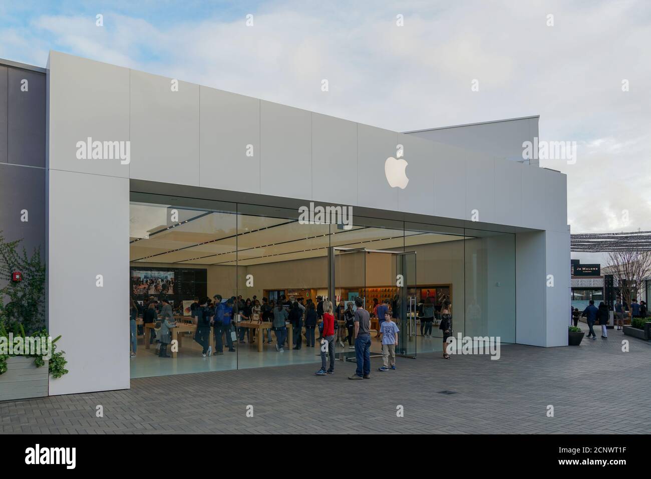 Apple retail store selling iPhones, iPads and more in sleekly designed  spaces. located in Westfield UTC. with pedestrians passing by outside the  store. La Jolla. San Diego, California, USA. March 23rd, 2019