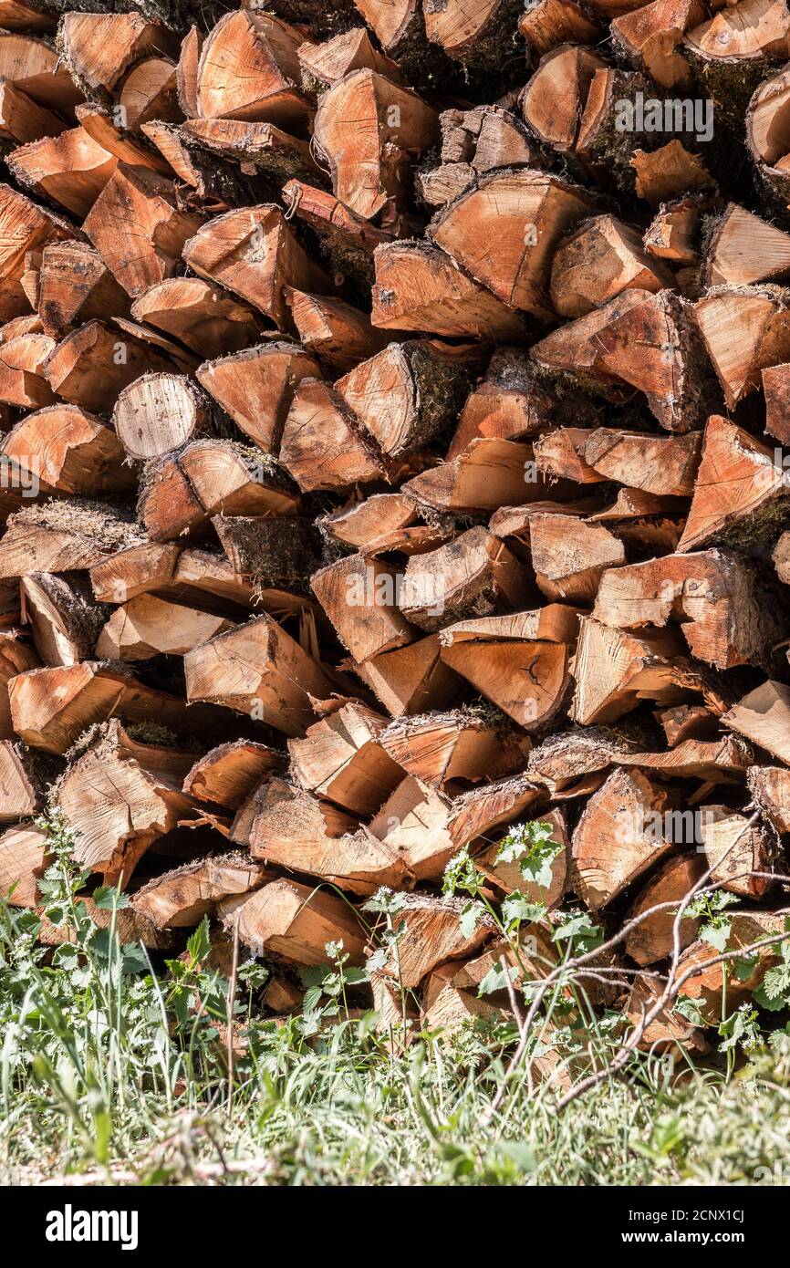 Woodpile of firewood to heat the house in cold times Stock Photo