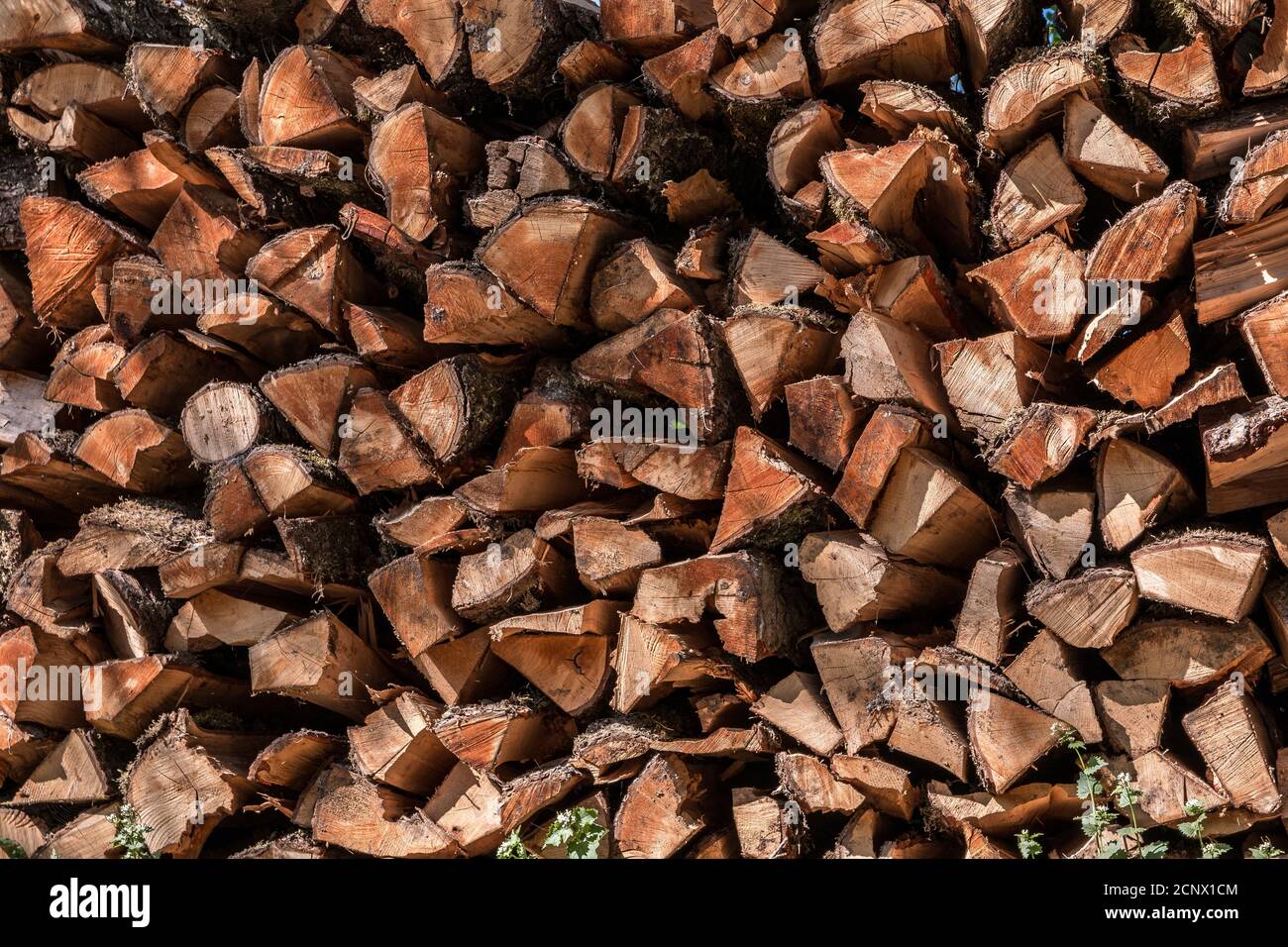 Woodpile of firewood to heat the house in cold times Stock Photo