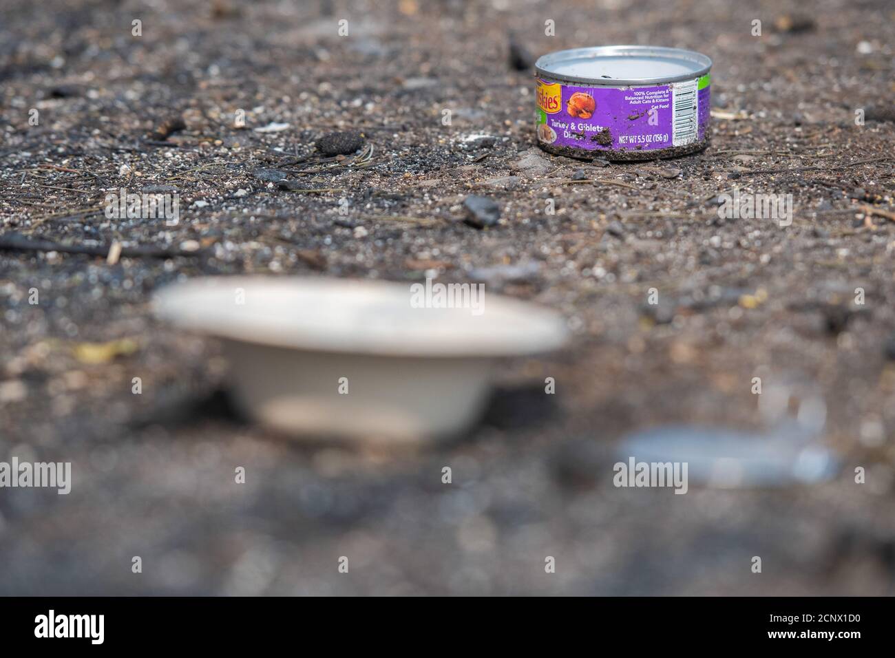 TALENT, ORE - SEPTEMBER 18, 2020: A general view of cat food left out for cats that are missing amid the aftermath of the Almeda Fire. The town of Talent, Oregon, showing the burned out homes, cars and rubble left behind. In Talent, about 20 miles north of the California border, homes were charred beyond recognition. Across the western US, at least 87 wildfires are burning, according to the National Interagency Fire Center. They've torched more than 4.7 million acres -- more than six times the area of Rhode Island. Credit: Chris Tuite/imageSPACE Stock Photo
