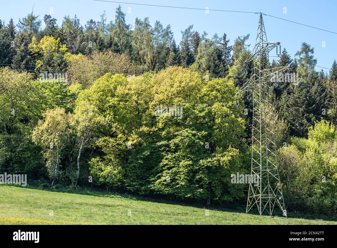 Power pylon on the green field near the forest Stock Photo