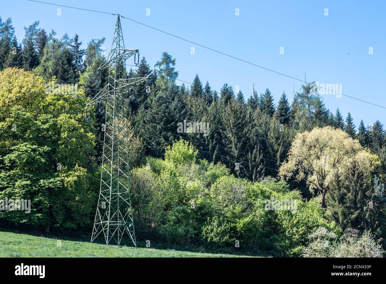 Power pylon on the green field near the forest Stock Photo