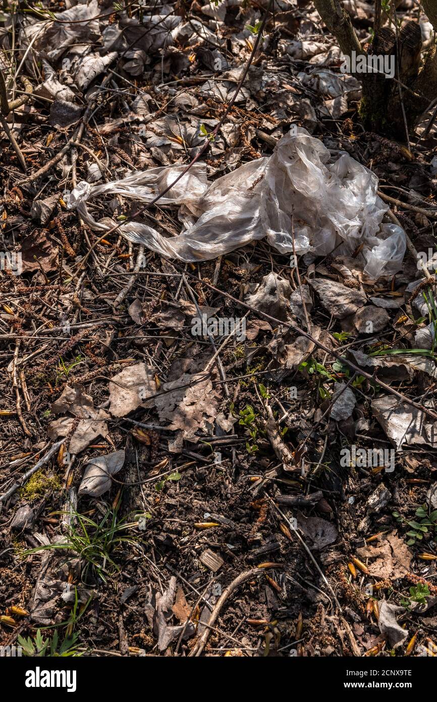 Plastic waste thrown away in the middle of nature Stock Photo