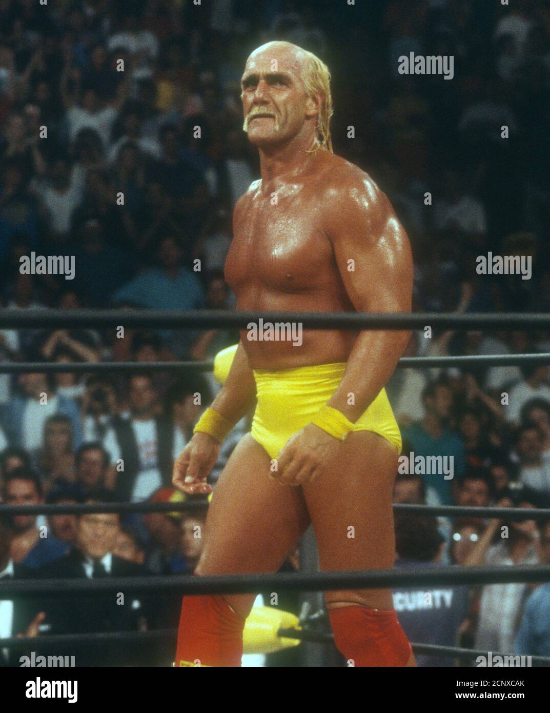 hogan 1994