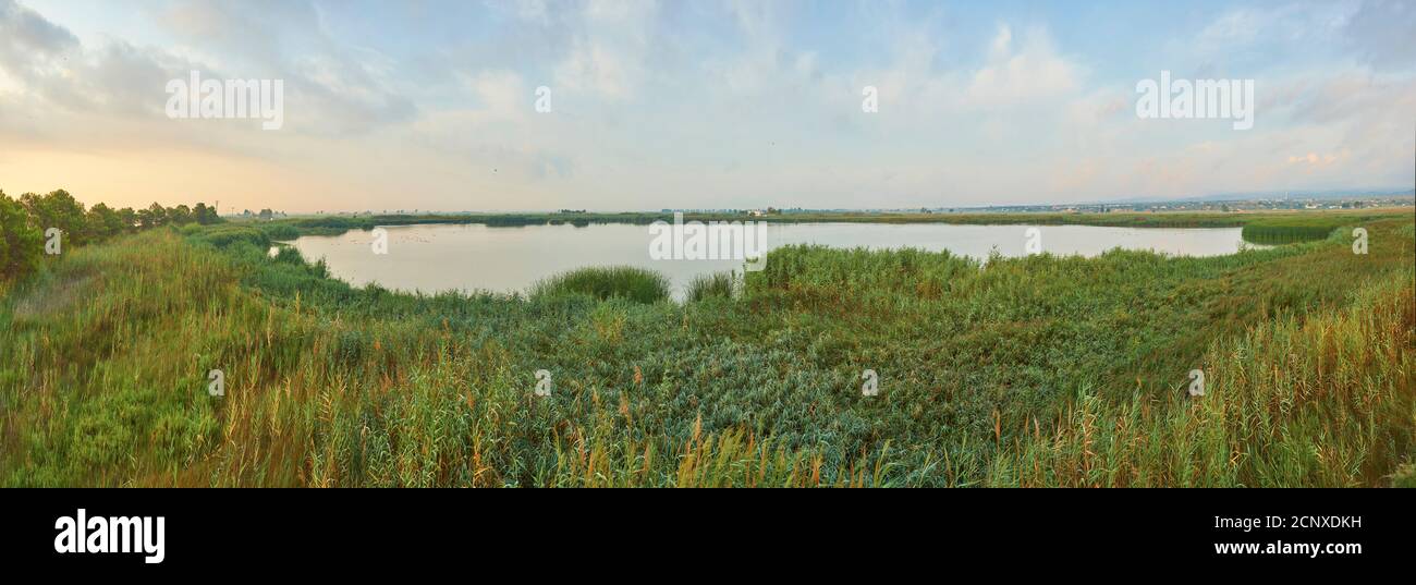 Landscape, Delta, Ebro Delta, Tarragona Province, Catalonia, Northern Spain, Spain, Europe Stock Photo
