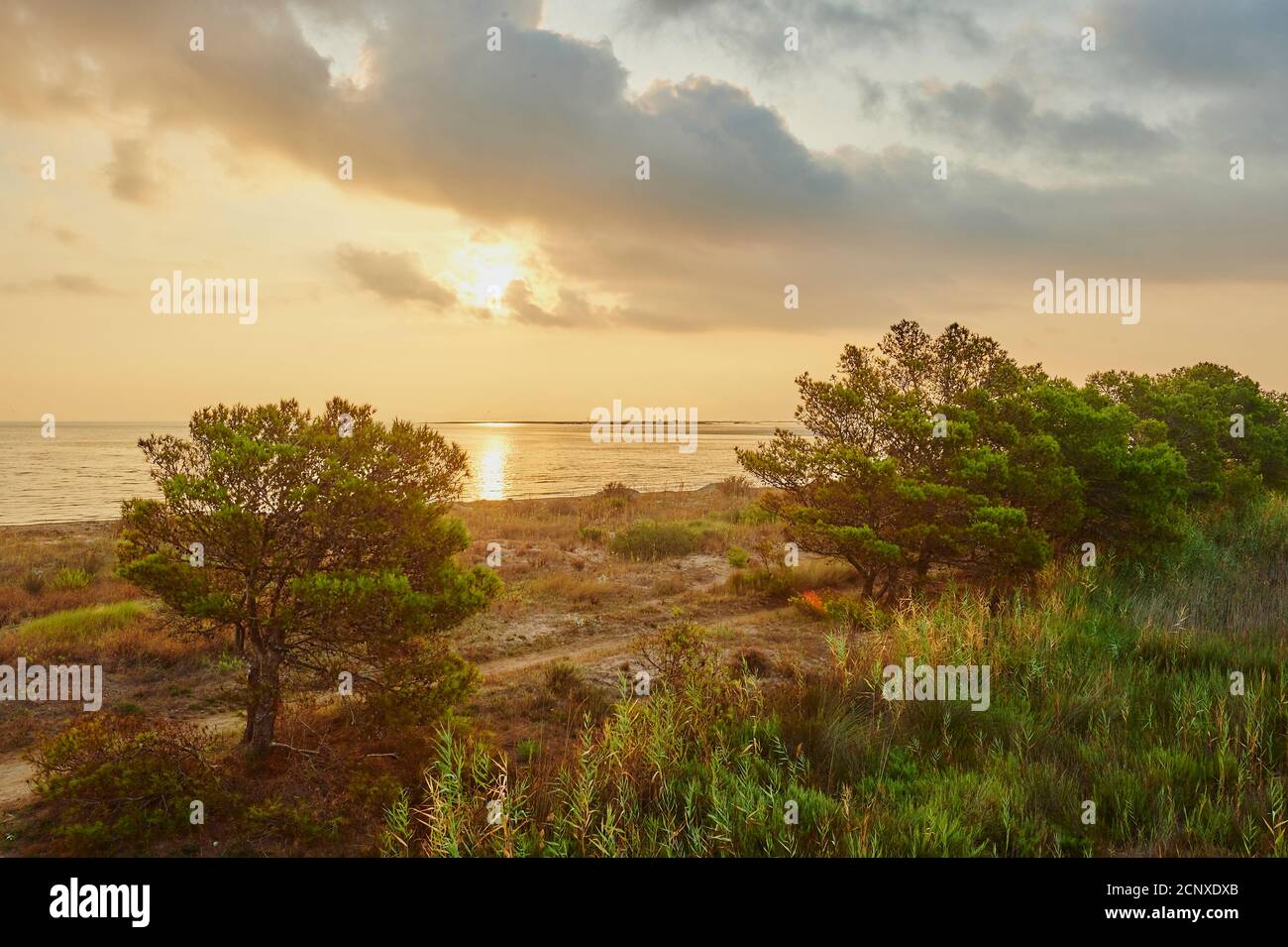 Landscape, Delta, Ebro Delta, Tarragona Province, Catalonia, Northern Spain, Spain, Europe Stock Photo