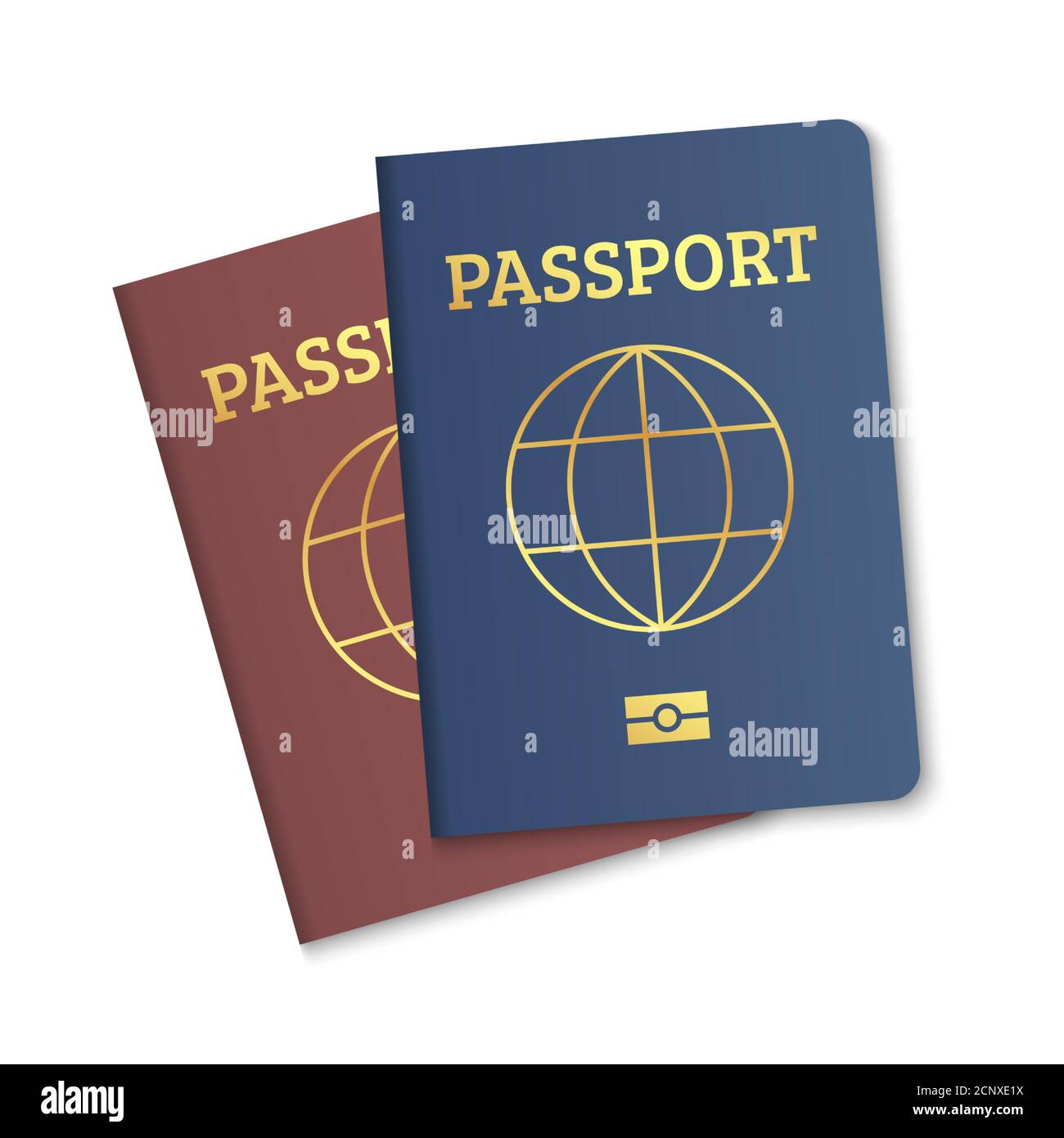 International passport cover red and blue template vector biometric