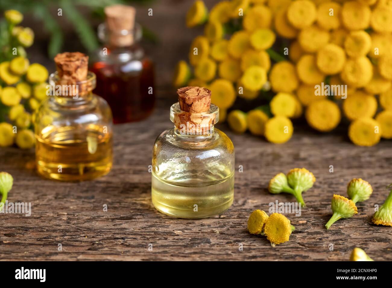 Chrysanthemum extract hires stock photography and images Alamy