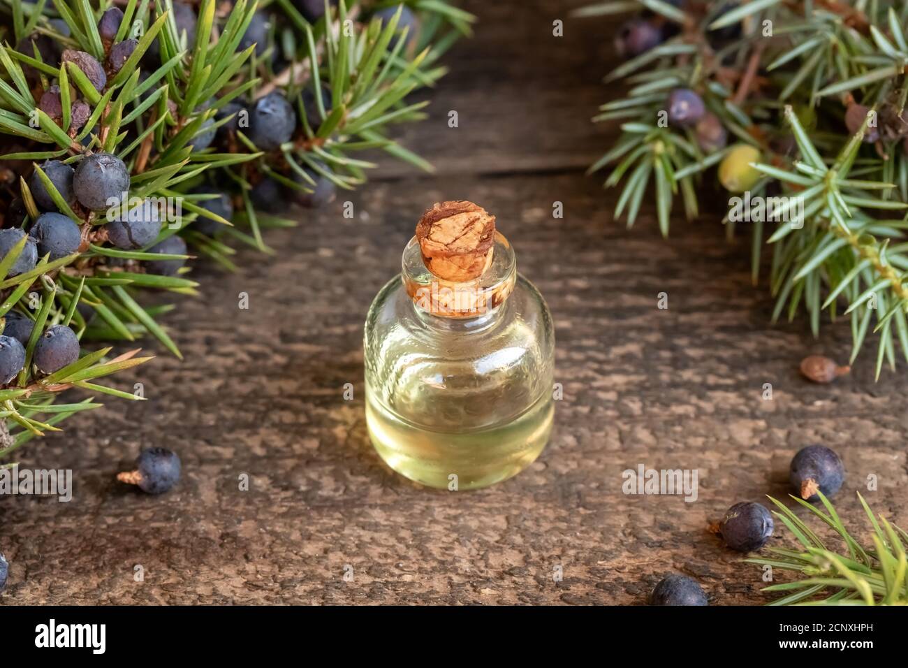 A bottle of essential oil with fresh juniper twigs on a wooden table Stock Photo