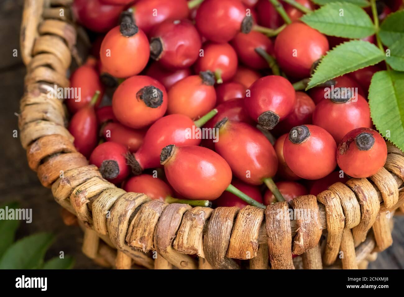 Rose hips with leaves in a basket Stock Photo