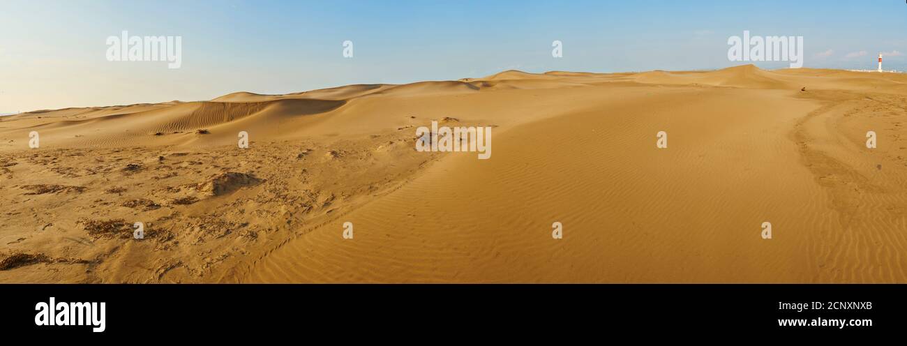 Landscape, dunes, sandy beach, Ebro Delta, Tarragona Province, Catalonia, Northern Spain, Spain, Europe Stock Photo