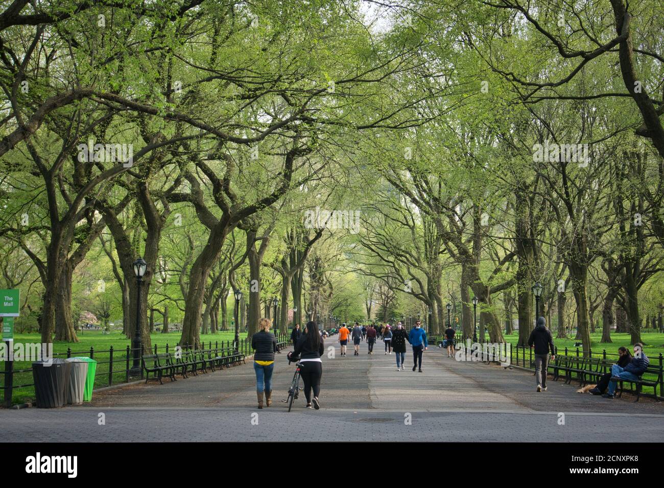 the mall and literary walk