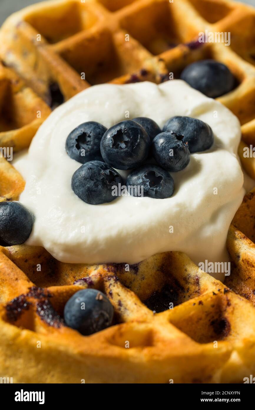 Homemade Warm Blueberry Belgian Waffles with Whipped Cream Stock Photo