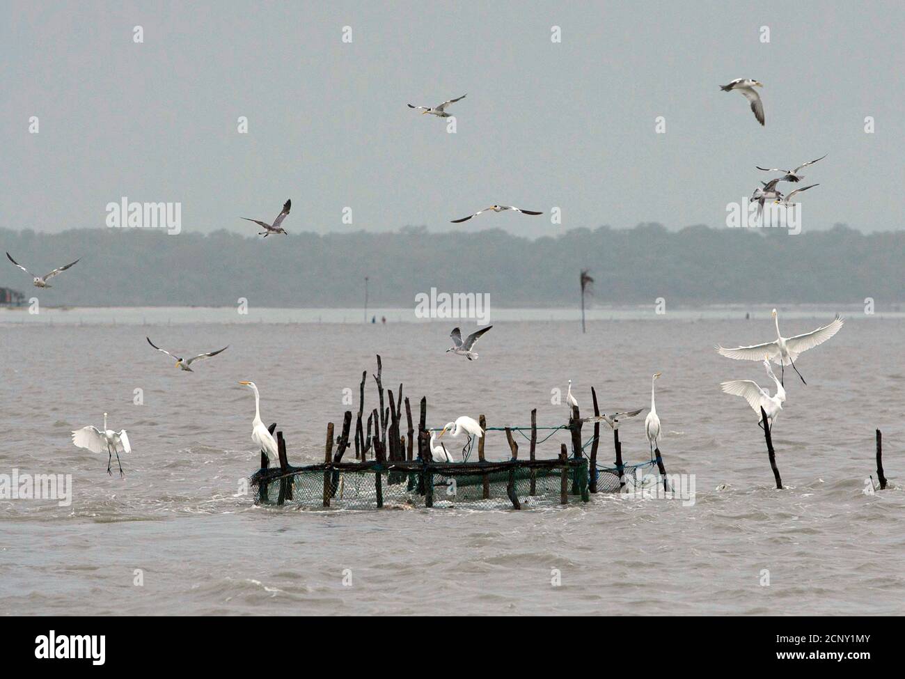 Amazon River Plume High Resolution Stock Photography and Images - Alamy