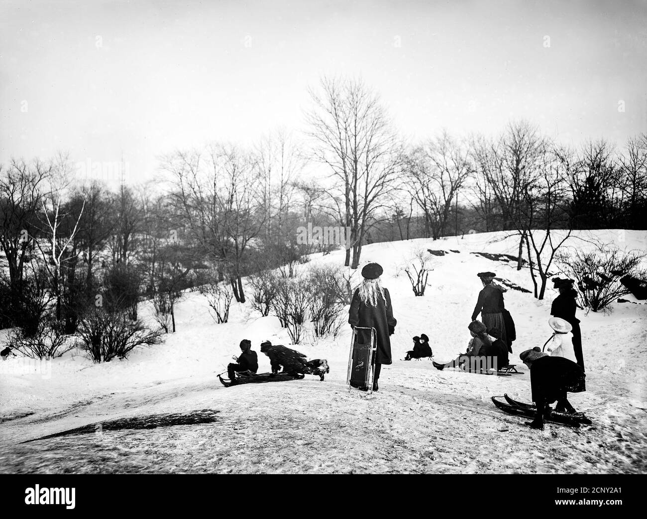 Sledging (coasting) ( in Central Park, New York 1906) Stock Photo