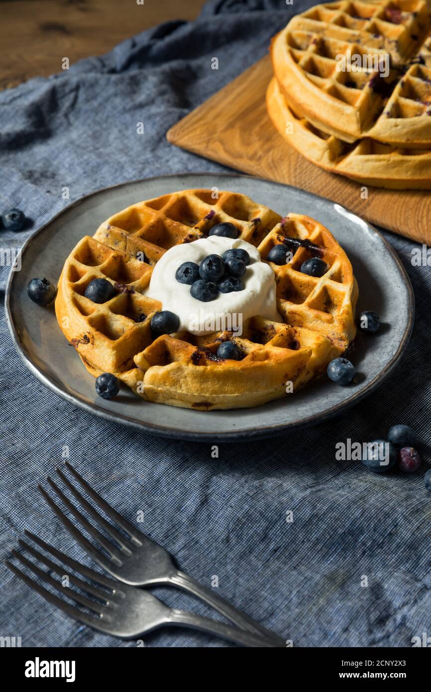 Homemade Warm Blueberry Belgian Waffles with Whipped Cream Stock Photo Alamy