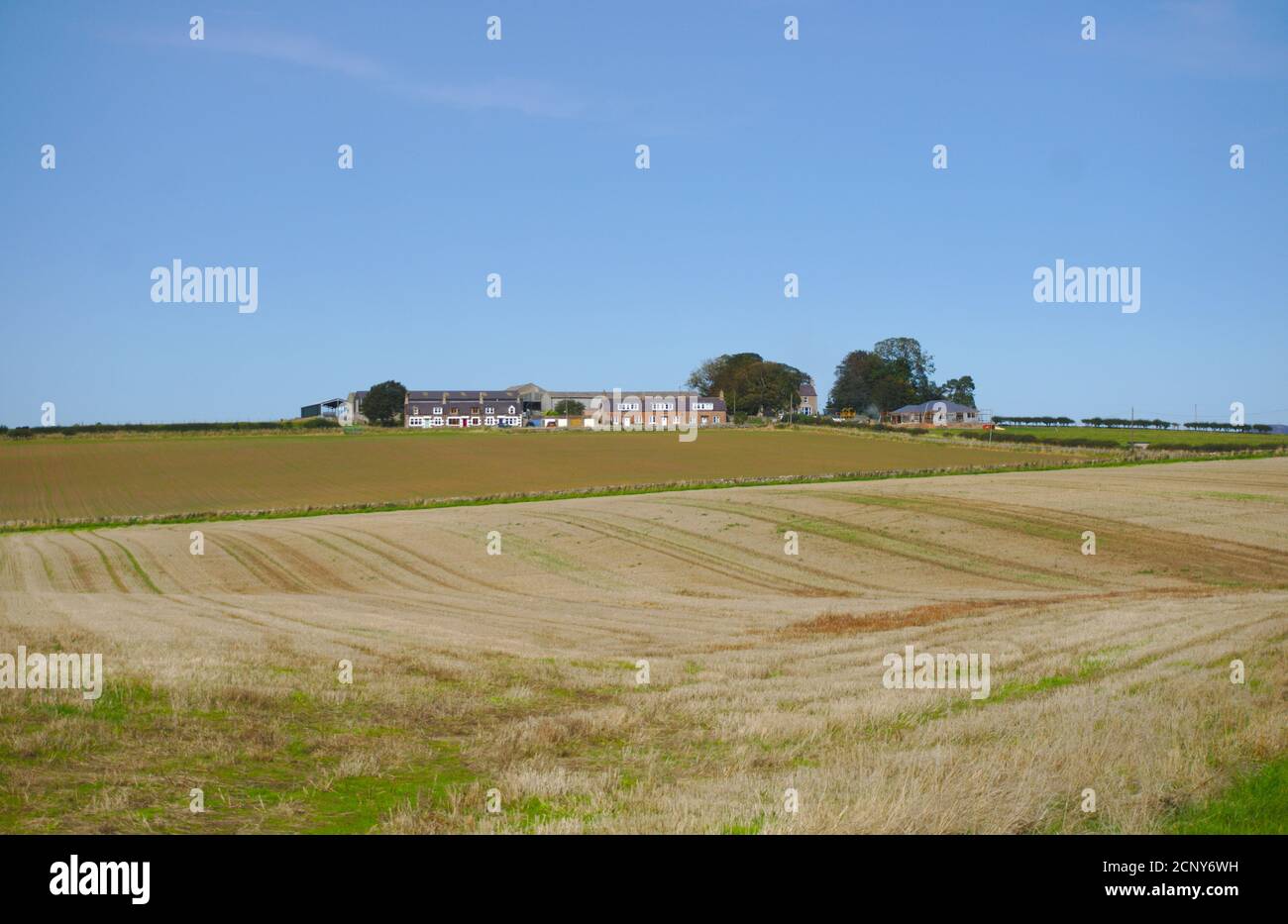 View across fields to farm cottages in Berwickshire, Scottish Borders, UK. Stock Photo