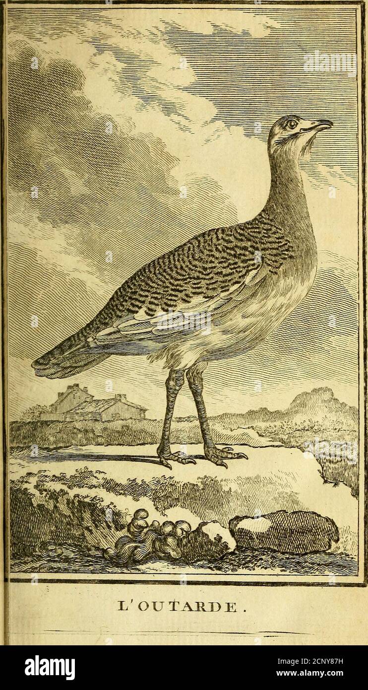 Une Bonne Histoire High Resolution Stock Photography And Images Alamy