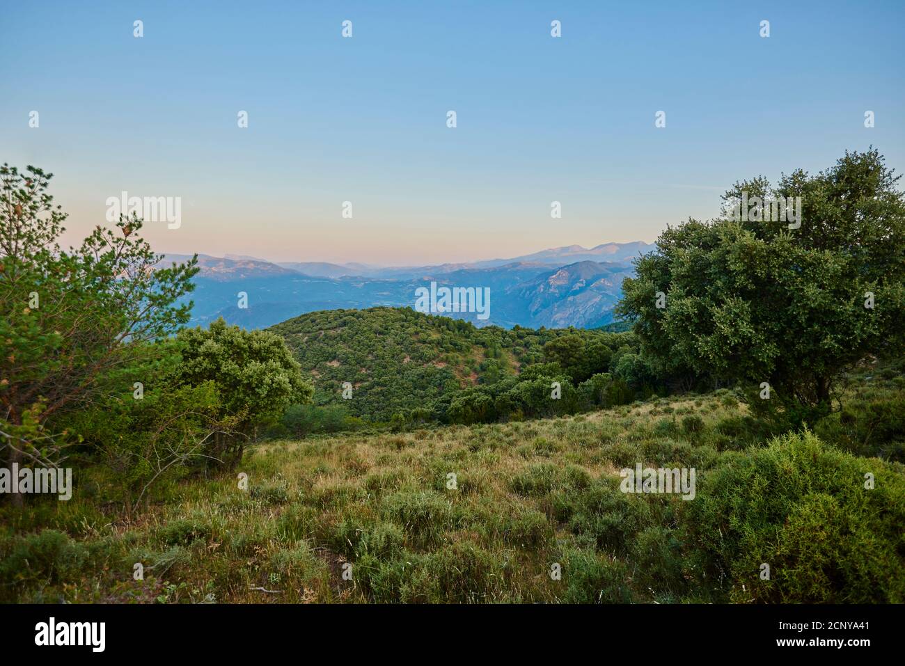 Landscape, Buseu, Lleida Province, Pyrenees, Catalonia, Northern Spain, Spain, Europe Stock Photo