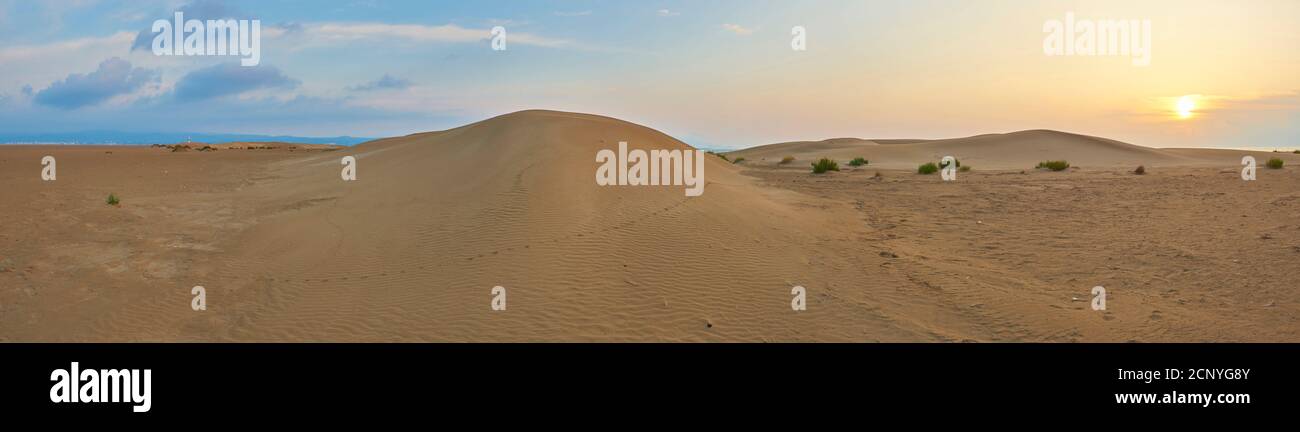 Landscape, dunes, sandy beach, Ebro Delta, Tarragona Province, Catalonia, Northern Spain, Spain, Europe Stock Photo