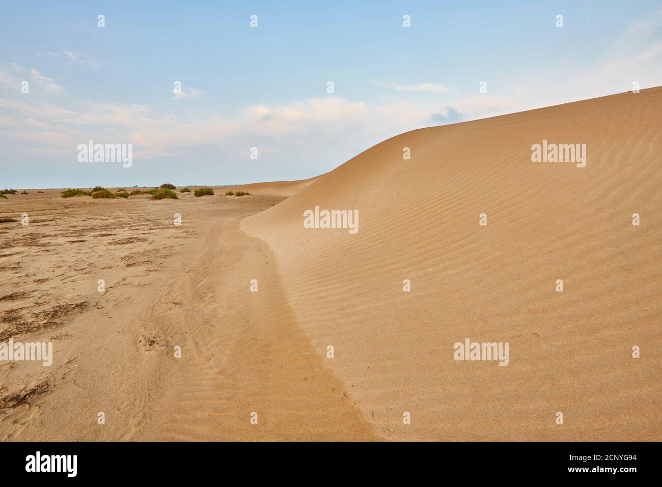 Landscape, dunes, sandy beach, Ebro Delta, Tarragona Province, Catalonia, Northern Spain, Spain, Europe Stock Photo