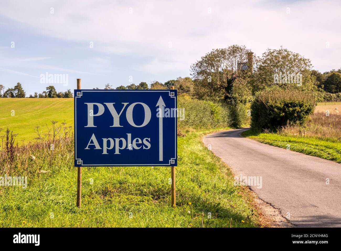 A roadside Pick Your Own Apples sign for the orchards of Royal fruit farms at Sandringham, Norfolk. Stock Photo
