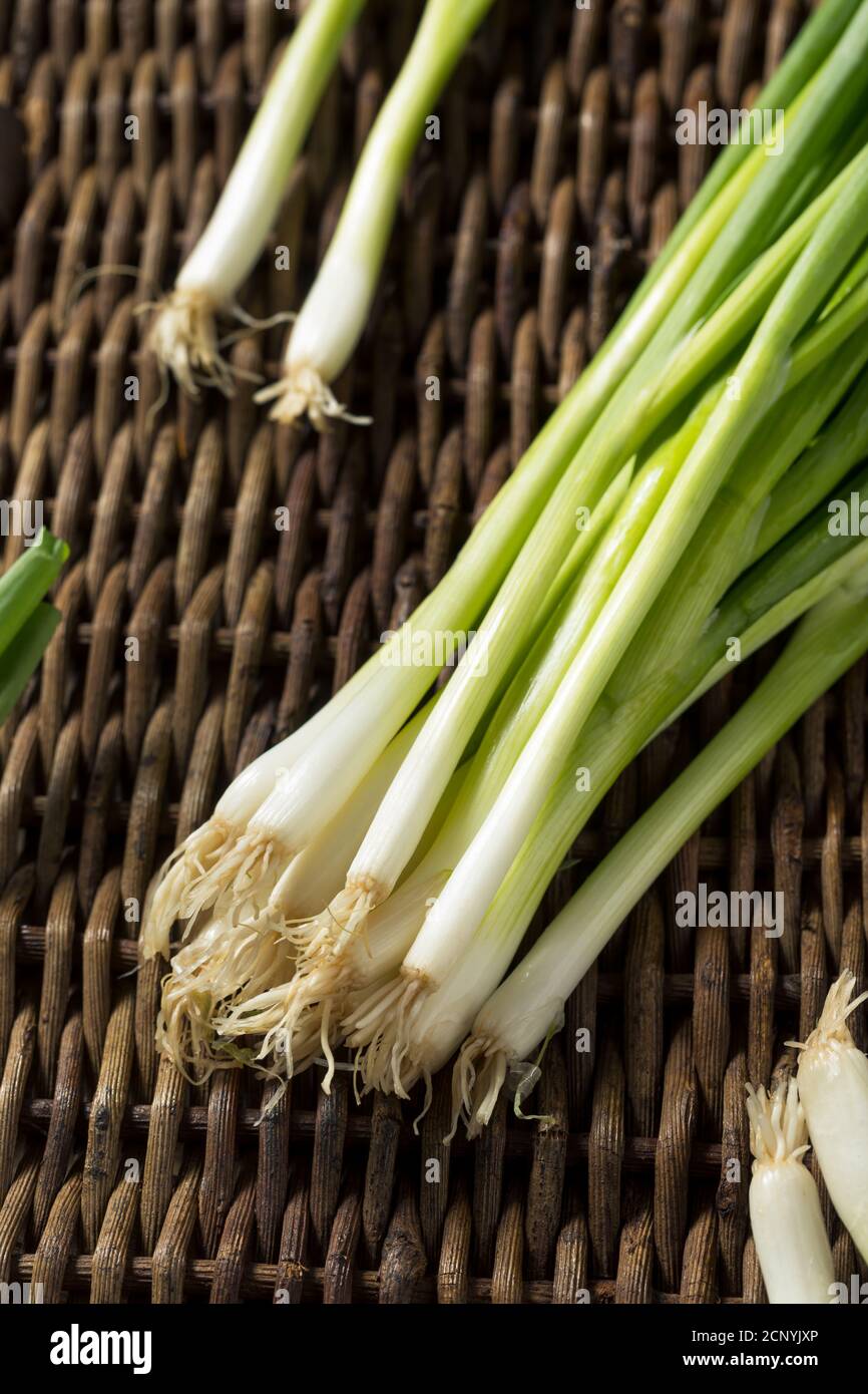 Organic Chopped Onions for Flavorful Cooking