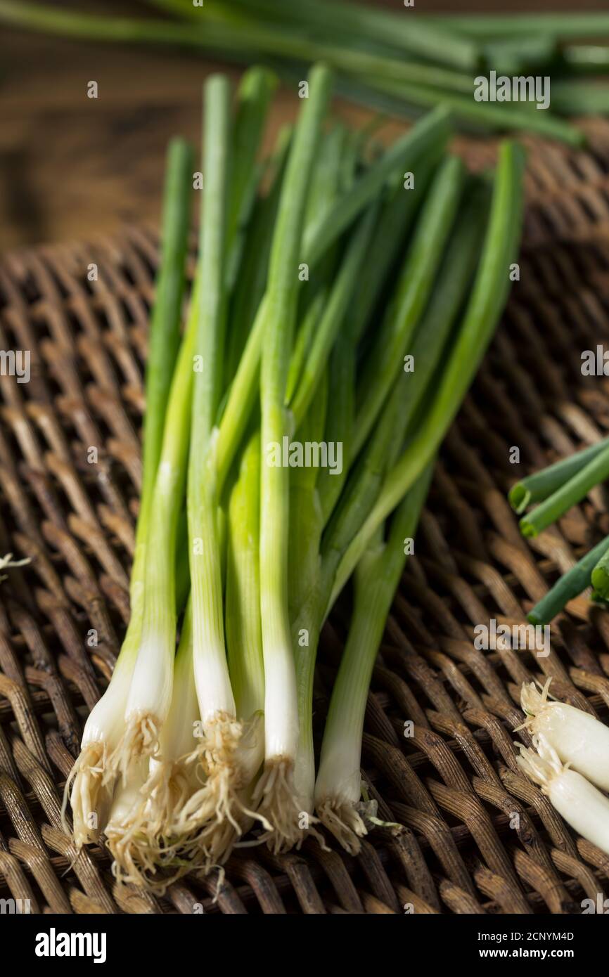 Organic Chopped Onions for Flavorful Cooking main image 1
