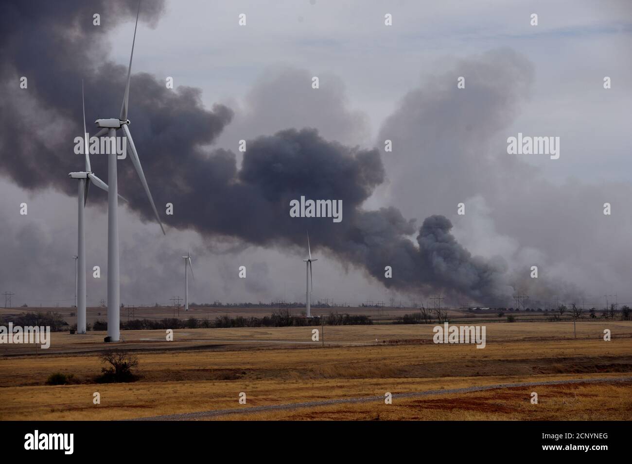 Rhea farm hires stock photography and images Alamy