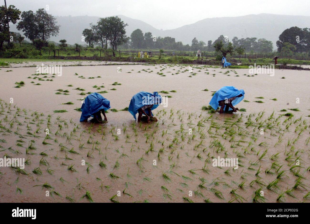 Season in india hires stock photography and images Alamy