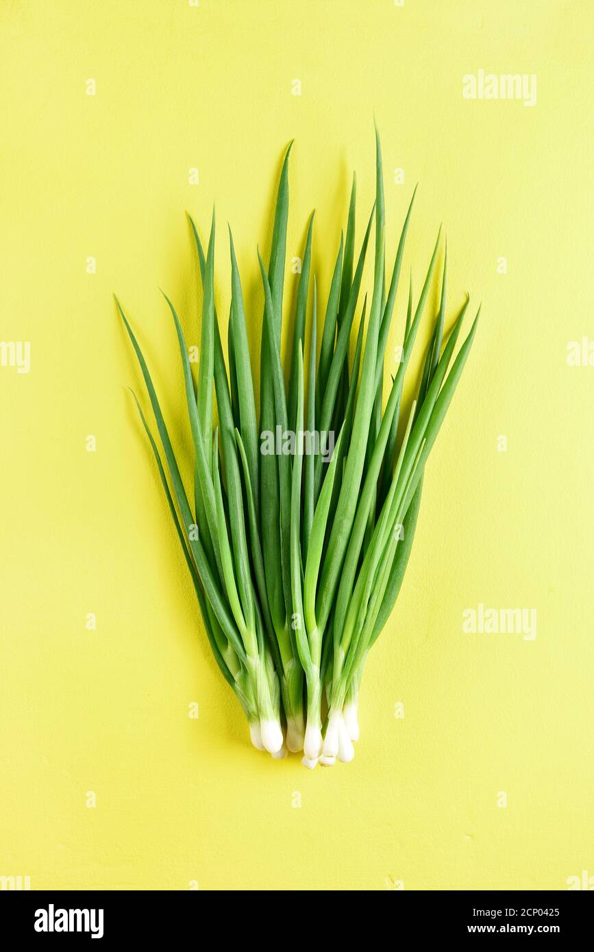 Fresh green onion on yellow background. Top view, flat lay Stock Photo