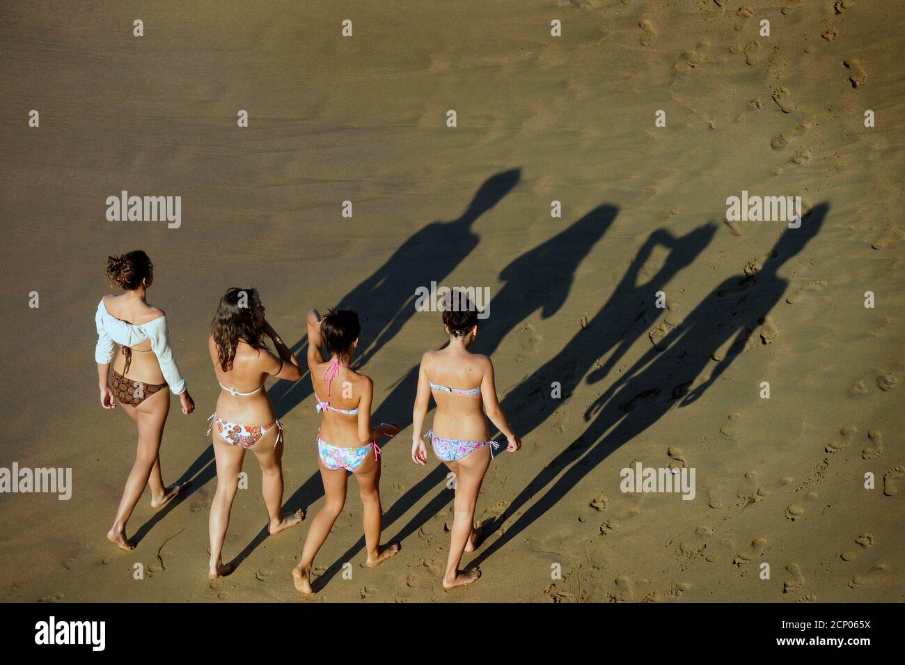 cast of girls from bikini porn photo