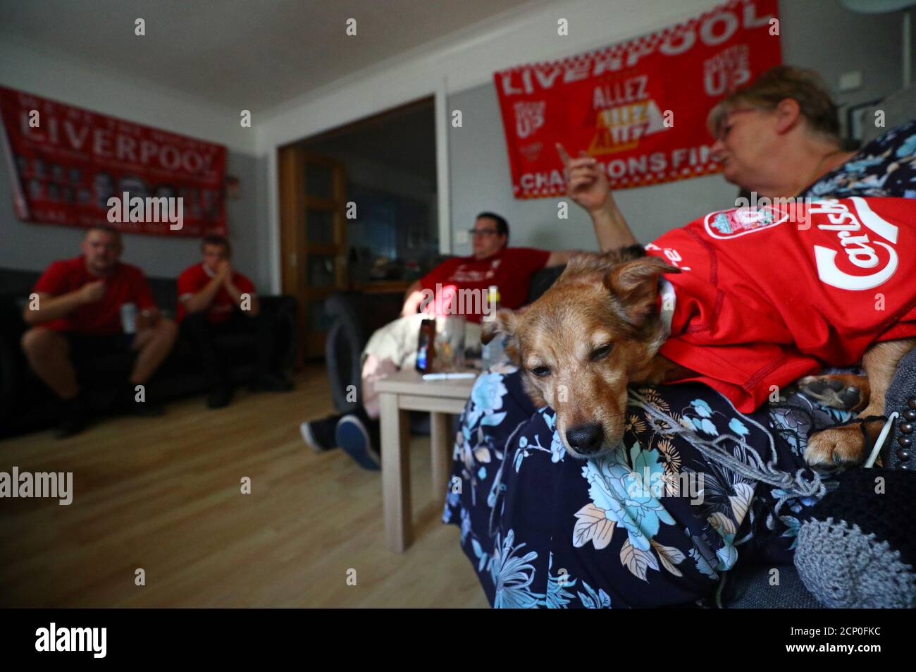 dog football shirts liverpool