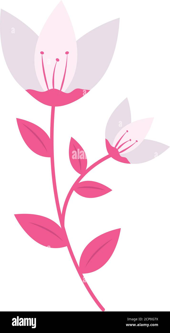 Isolated flower icon vector design Stock Vector Image & Art - Alamy