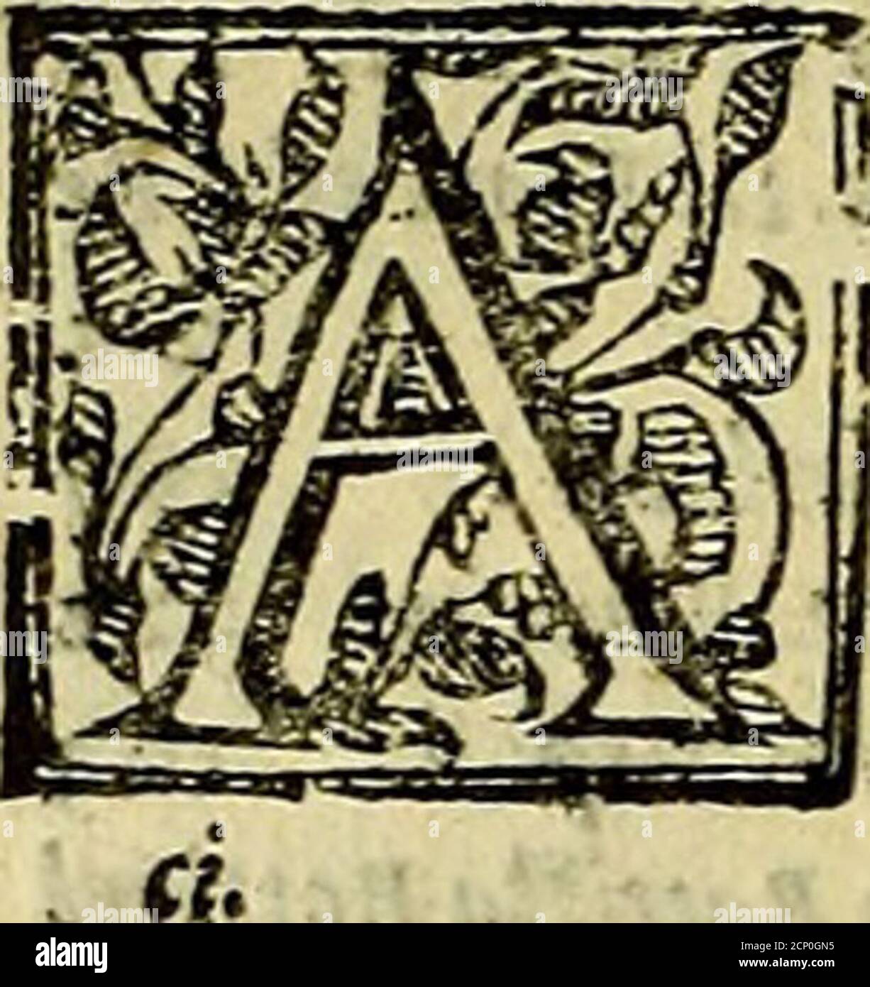 . www.flickr.com/photos/internetarchivebookimages/tags/book... . 5,, éfoiMhS,of. di Manoli Boccali- *%* ■■ 4 ©«f2ujuT^ov7or di leronim& )^*f» fati. W - T A V Termine.dAlfonJò da Efle. 17 TeHantevbrebo. Di Claudio di Guifa. Toro. DOnofrio Tannino. 464 Tbrre.Di Bertoldo Farnefe. 75 Tortora bpravnarborefecco.Di Felice Sanjèuerina. 170 VAn Co ut in Berfes. DiFrancefcaCibò. 34 Kangot vuil. Di Giulio Vefcouo di Ho-tera. 437 yigilantibusmwfttam. Dit BaldajjarcV&q&le. 373 Ò L A Vite da tbgrpeft. Di Giacomo lante rio. 416 Vitello Marino- Di Luigi Gon^aga.^ 5ynafolm. Del Cardinal Borromeo. 90Vno attul Stock Photo