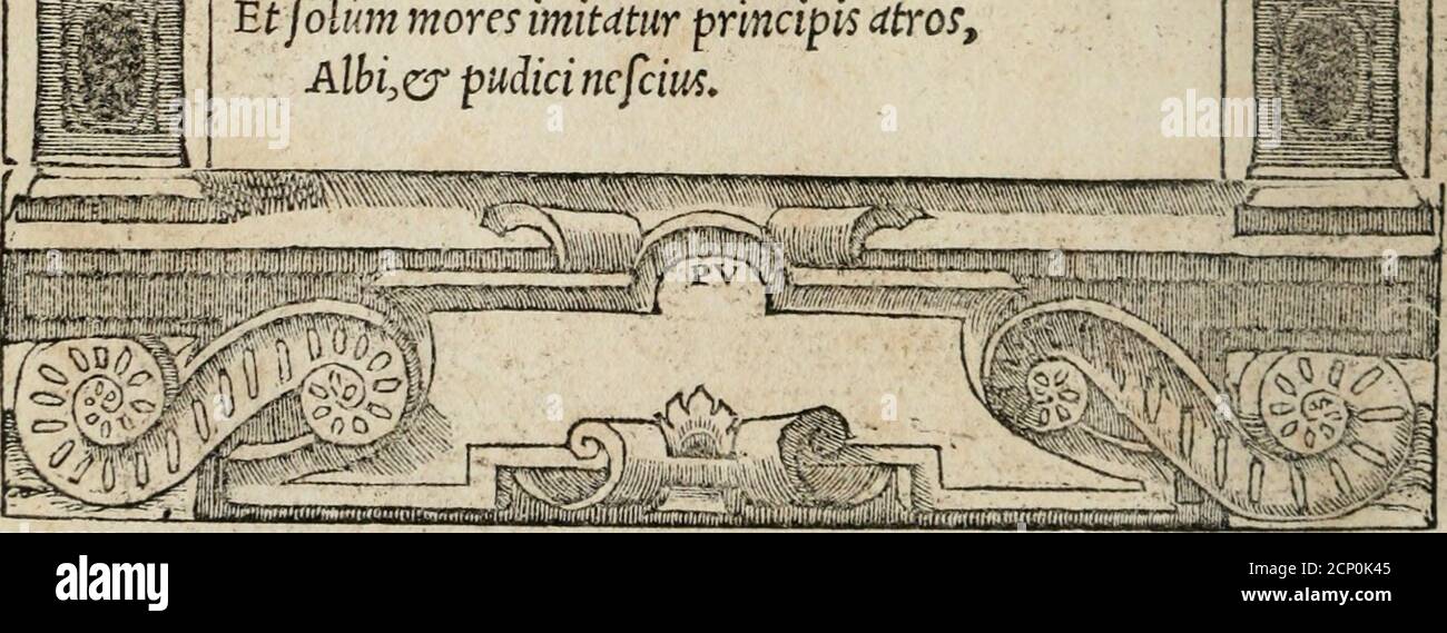 Alhi High Resolution Stock Photography And Images Alamy