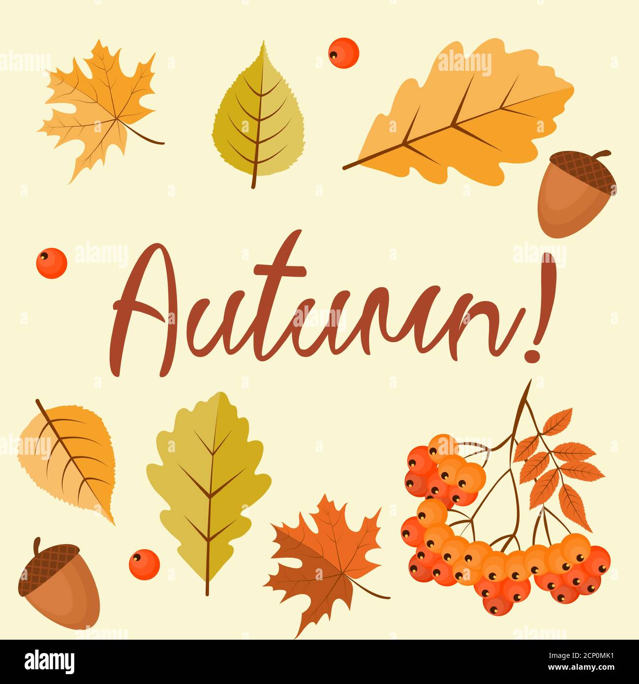 Abstract Autumn Background with Falling Leaves, Rowan and Acorn. Vector Illustration Stock Vector
