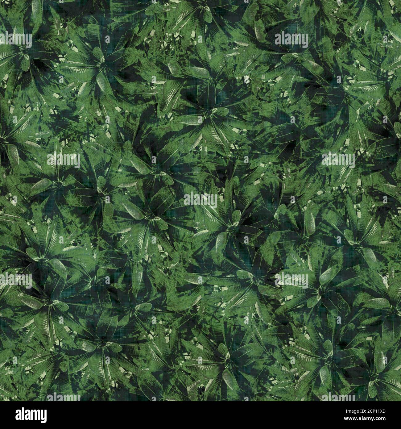 Green tropical palm tree leaves seamless pattern Stock Photo - Alamy