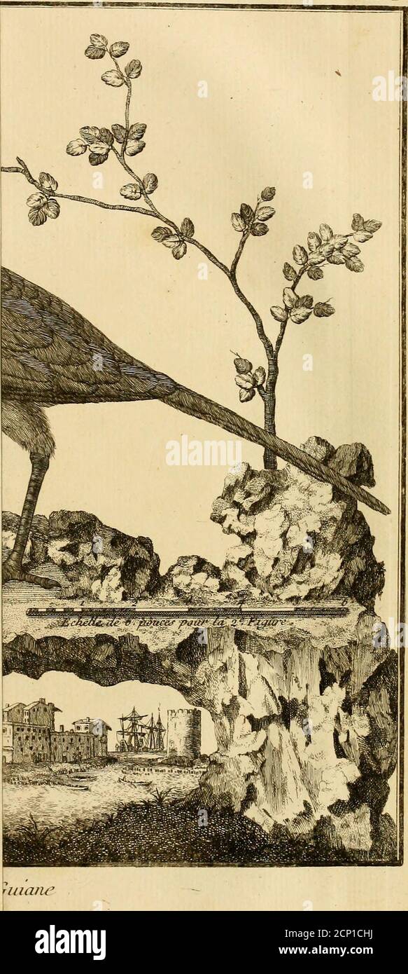 Panacke High Resolution Stock Photography And Images Alamy